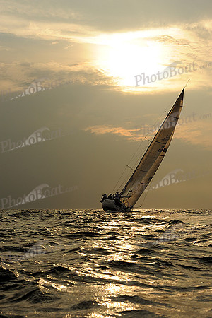 2013 Vineyard Race B 869
