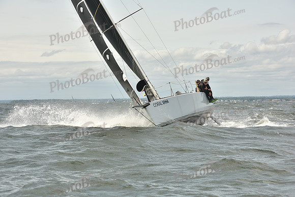 2024 Vineyard Race A_2214