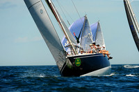Carina