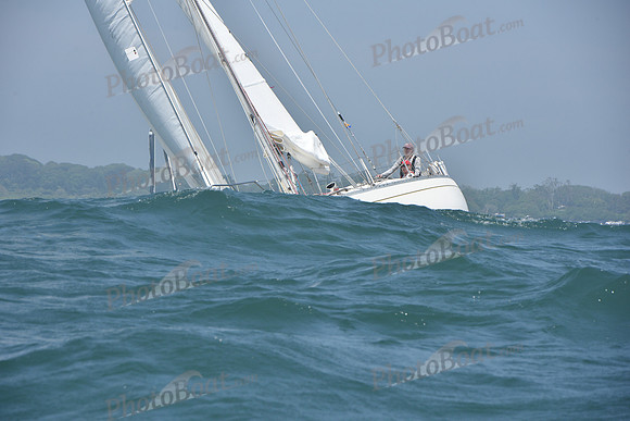 2022 Newport Bermuda_0917