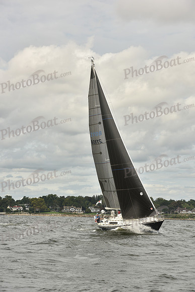 2024 Vineyard Race A_1488