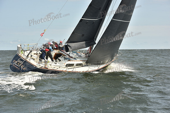 2024 Vineyard Race A_1822