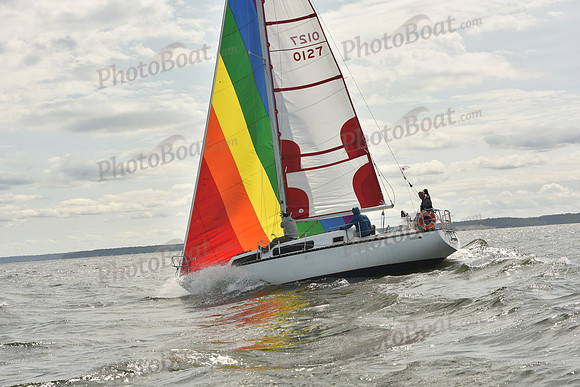 2024 Vineyard Race A_1781