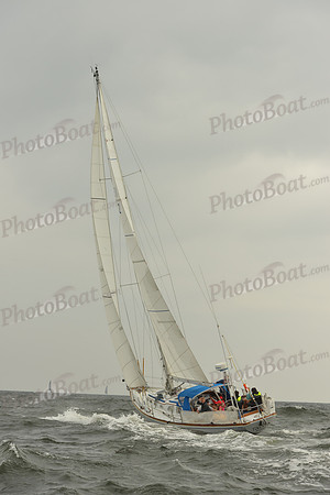 2015 Vineyard Race A 113