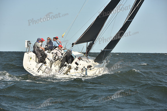 2024 Vineyard Race A_1107
