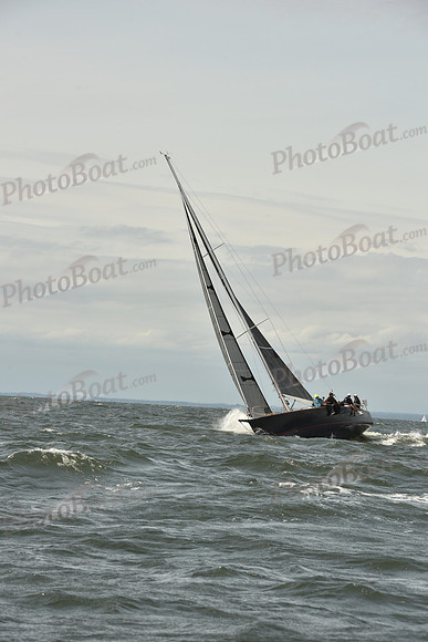 2024 Vineyard Race A_2334