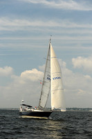 2013 Vineyard Race A 564