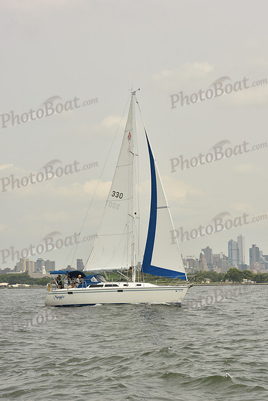2024 ALIR_0311