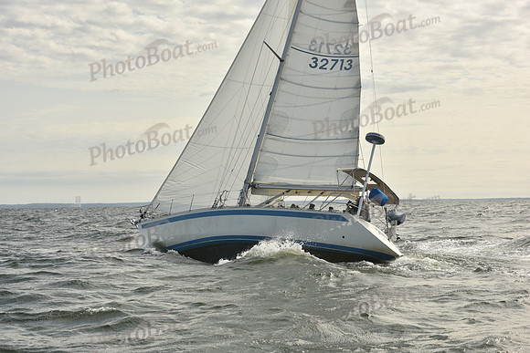 2024 Vineyard Race A_1261
