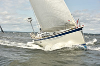 2024 Vineyard Race A_1898