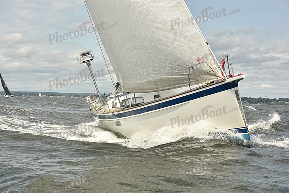 2024 Vineyard Race A_1898