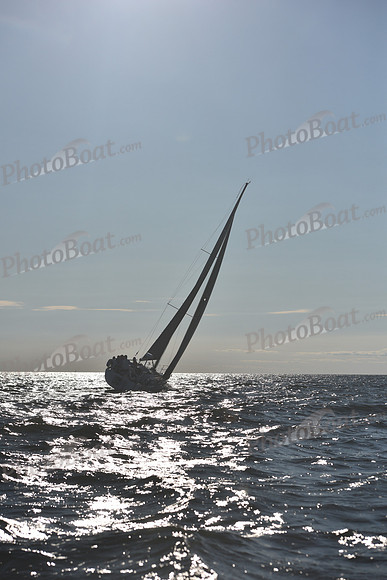 2021 Vineyard Race B 2777