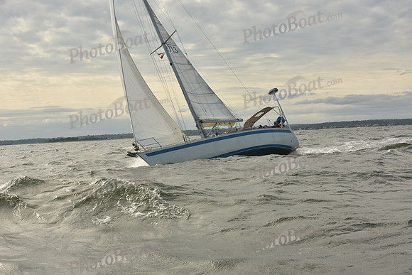 2024 Vineyard Race A_1254