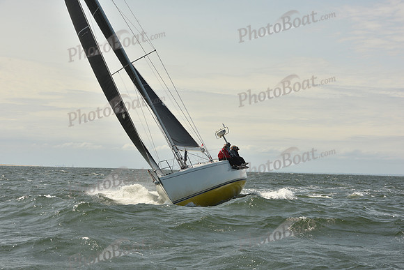 2024 Vineyard Race A_0548