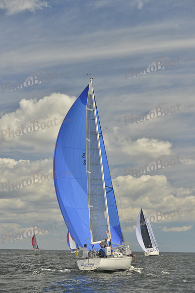2016 Vineyard Race A_0589