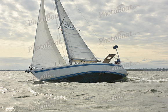 2024 Vineyard Race A_1255