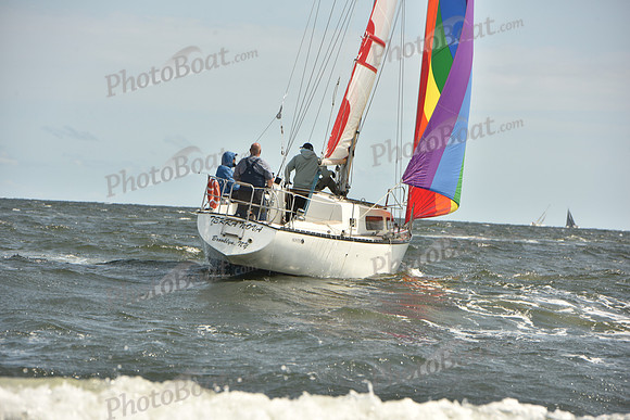 2024 Vineyard Race A_1791