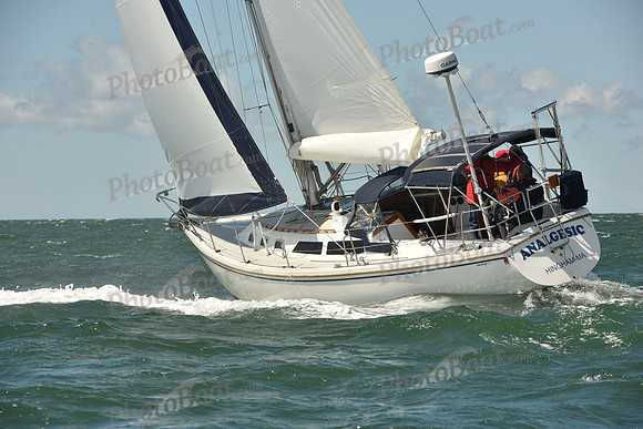 2025 Figawi_0267