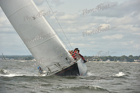 2024 Vineyard Race A_2166