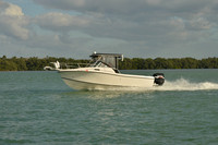2019 Feb 10 Tampa Bay B_0786