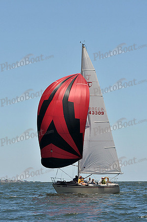 2014 Southern Bay Race Week C 1981