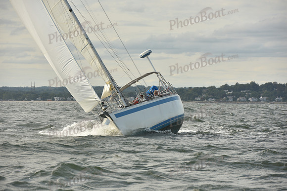2024 Vineyard Race A_1251