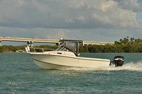 2019 Feb 10 Tampa Bay B_0788