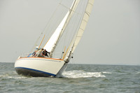 2015 Vineyard Race A 302