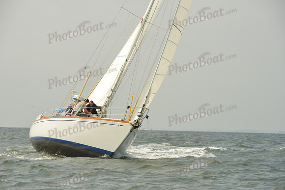 2015 Vineyard Race A 302