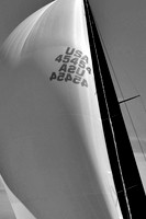 2017 Block Island Race Week C_1700