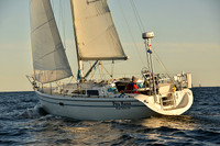 2016 Newport Bermuda Race_2787