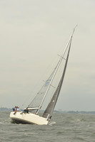 2015 Vineyard Race A 1325