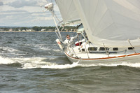 2024 Vineyard Race A_1733