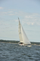 2024 Vineyard Race A_1234