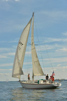 2016 Vineyard Race A_0971