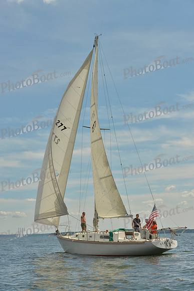 2016 Vineyard Race A_0971