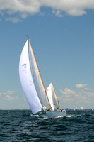 Dorade