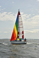 2024 Vineyard Race A_1786
