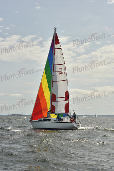 2024 Vineyard Race A_1786