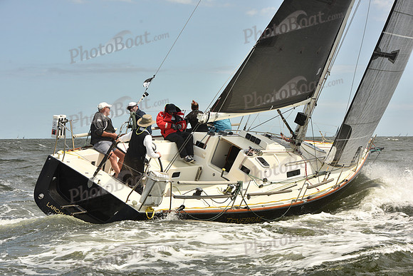 2024 Vineyard Race A_2354