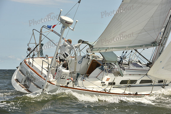 2024 Vineyard Race A_1738