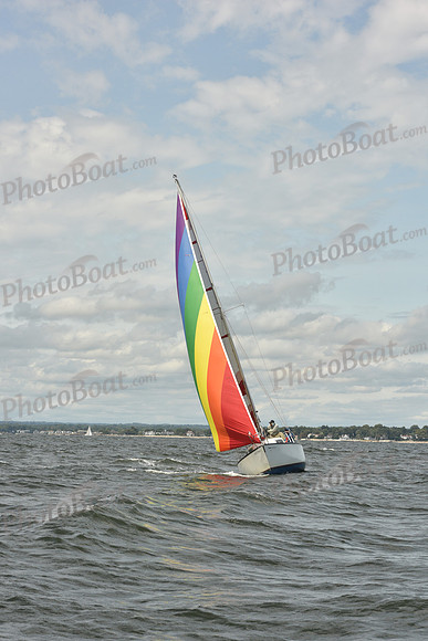 2024 Vineyard Race A_1773