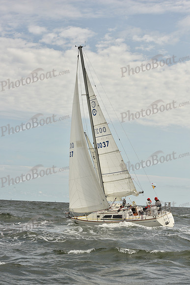 2024 Vineyard Race A_1433