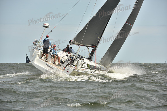 2024 Vineyard Race A_2458