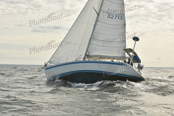 2024 Vineyard Race A_1260