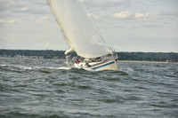 2024 Vineyard Race A_1245