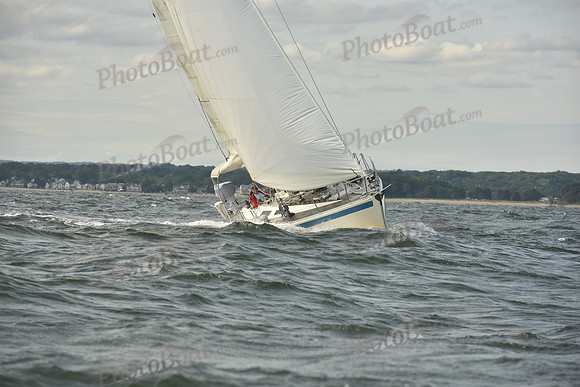 2024 Vineyard Race A_1245