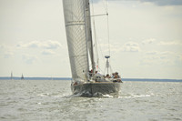 2016 Vineyard Race A_1541