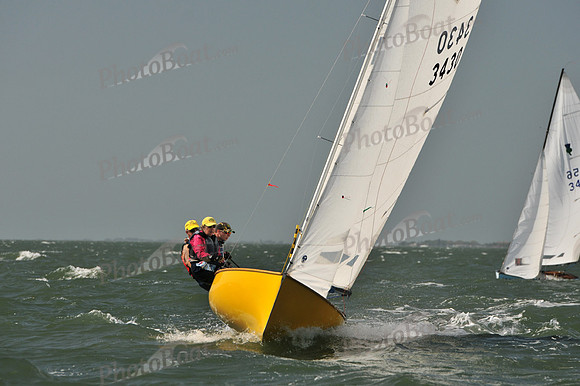 2012 Thistle Midwinters B 646