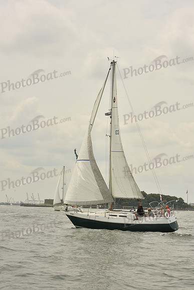 2024 ALIR_0217